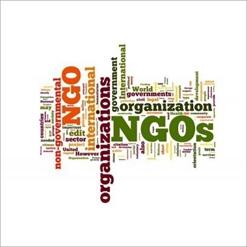 Company NGO Services