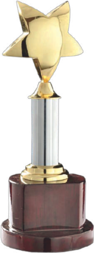 Custom Metal Trophies