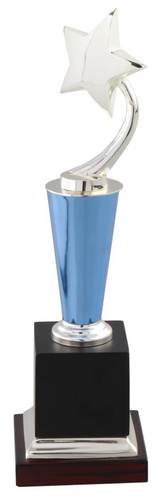 Golden Glossy Metal Trophies