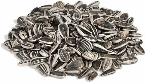 Indian Sunflower Seeds