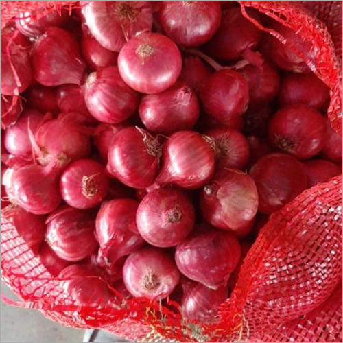 Fresh Red Onion