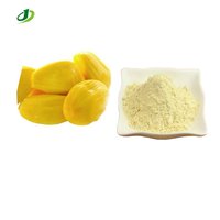 Yellow Freeze Dried Jackfruit Powder