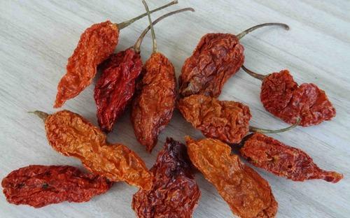 Oven Dried Bhut Jolokia Chilli Pepper Pods
