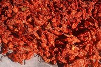 Oven Dried Bhut Jolokia Chilli Pepper Pods