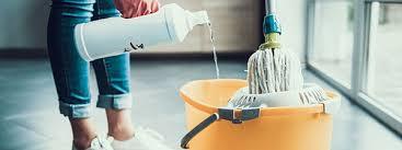 Germ Guard Plus Cleaner Disinfectant