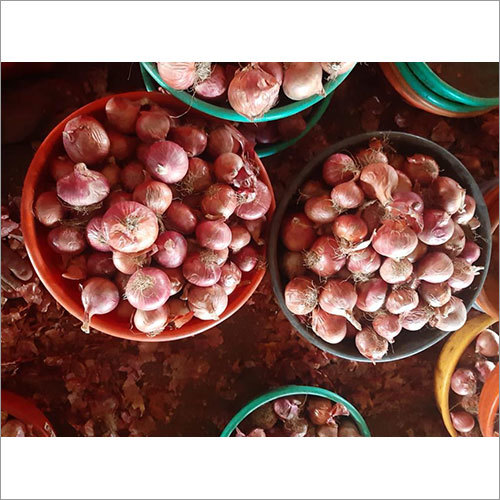 Fresh Red Onion - Natural Shape, Fresh Style | Nutrient-Rich Ingredient for Flavorful & Healthy Meal Preparation