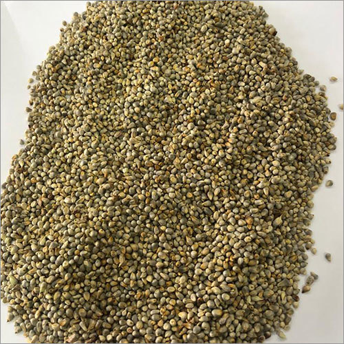 Green Millet - Organic Dried Natural Grain | High Purity, Rich in Fiber & Protein, Heart-Healthy Benefits