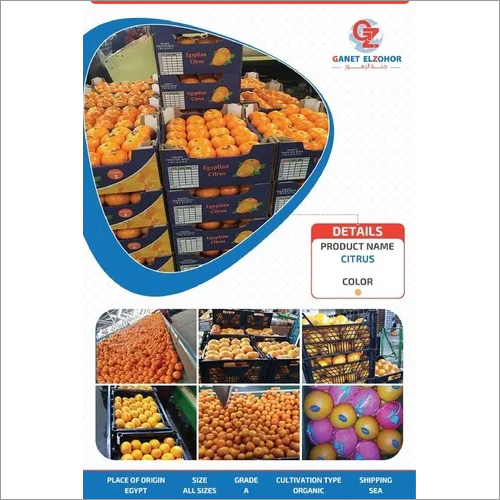 Mandarin orange