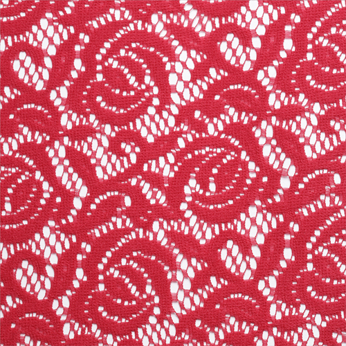 Garment Rashal Lace
