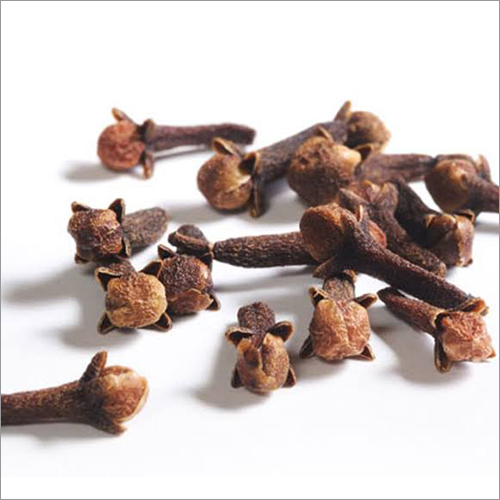 Clove Seed