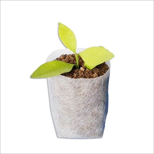 Biodegradable Plant Nursery Seedling Grow Bags