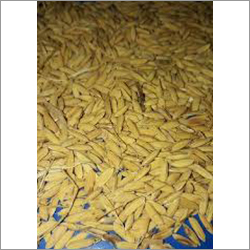 Agriculture Rice Paddy