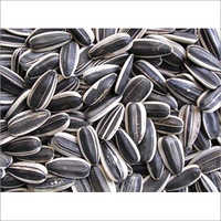 Sunflower Seeds