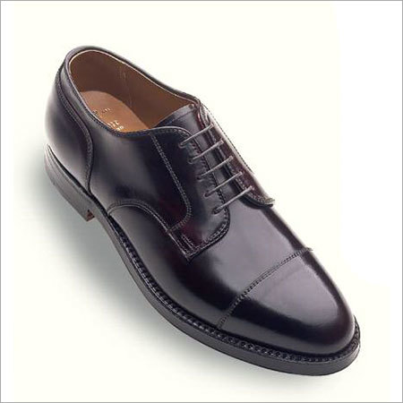Straight Tip Blucher Genuine Shell Cordovan Shoes