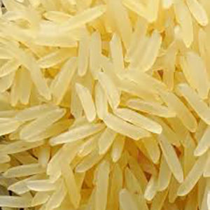 Sugandha Golden Rice