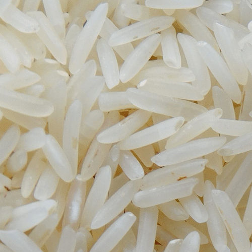 1401 Steam Rice