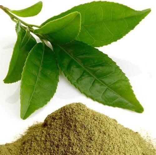 Green Tea Powder Thailand Dry Place