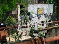 Digital Turbine Flow Meter