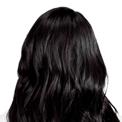 Natural Black Indian Human Hair Application: Profesional