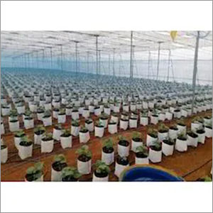 Green House Grow Bag Base Material: Hdpe