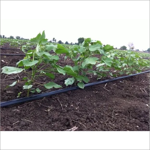 Cultivation Drip Irrigation System
