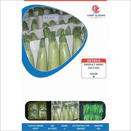 Green Zucchini