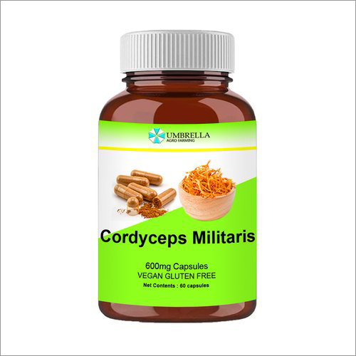 600 mg Cordyceps Capsules