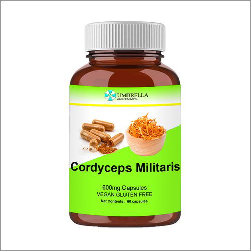 Cordyceps Capsules 600 mg