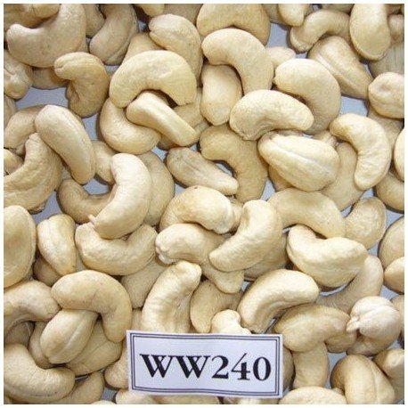 W-240 Cashew Kernel