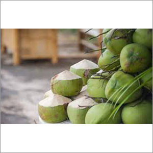 Fresh Green Coconut