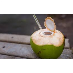 Natural Tender Coconut