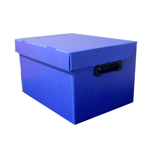 Multi Color Pp Corrugated Box