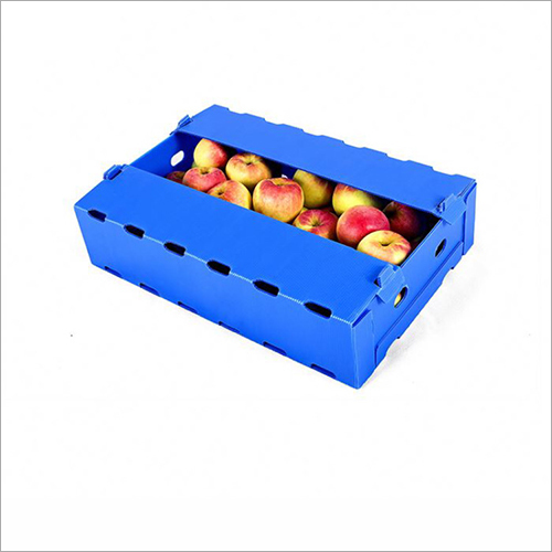 Pp Corrugated Fruit Box