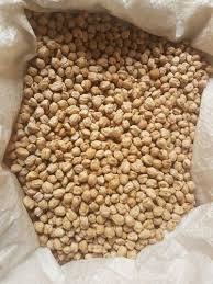 Origin Natural 7-12mm Beige Chickpeas - 99% Purity, Max 0.2% Broken, Fast Shipping, Global Delivery