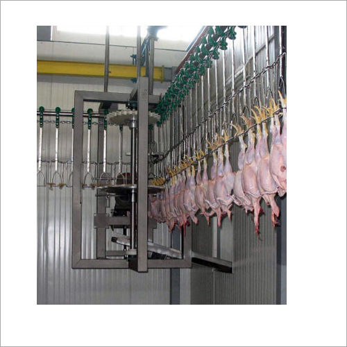 Automated Poultry Processing Conveyor
