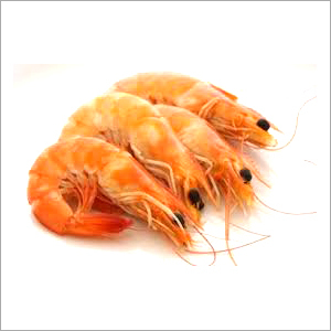 Block Prawn Shrimp