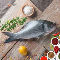 Block Catla Fish