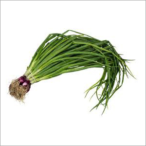 Fresh Scallion - A Grade, Baked Processing Form, 1 Day Shelf Life | Ideal for Stir-Fry, Soup, Stews, and Braised Dishes
