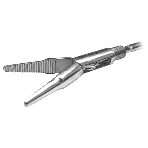 Dolphin Dissector