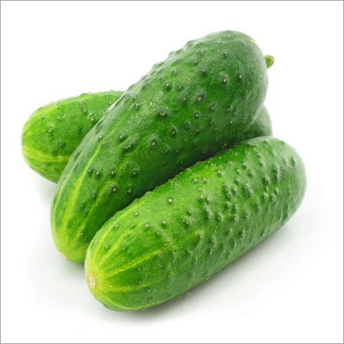 Fresh Cucumber