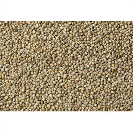 Nutrient Little Millet