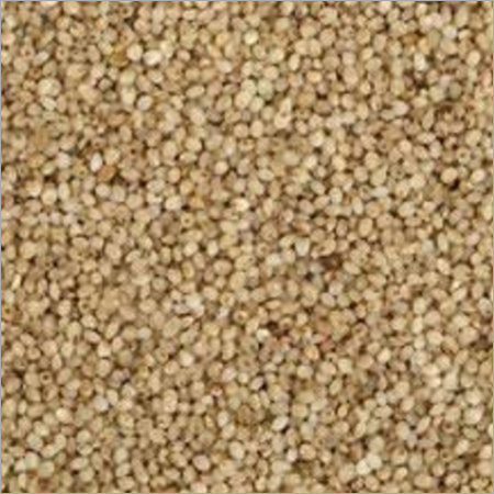 Little Millet By POTATOES WHOLE SELL SMD