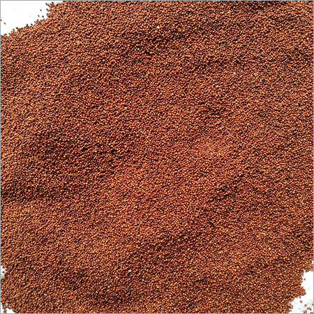 Finger Millet (Ragi)