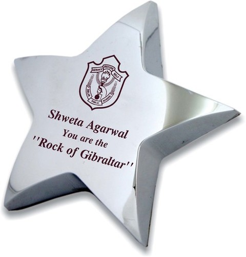 Exquisite Look Precisely Designed Metal Awards For Appreciation