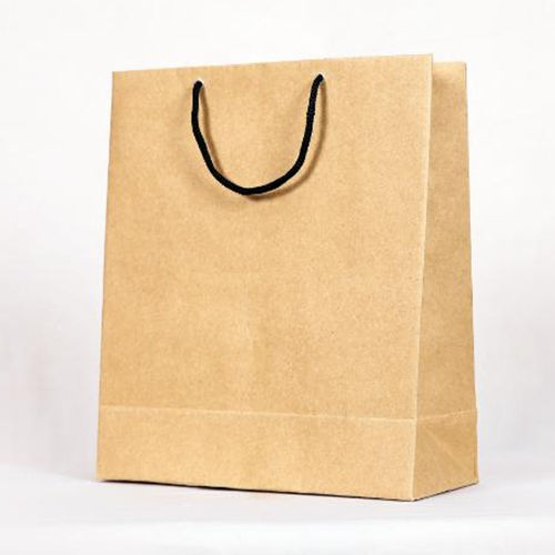 Paper Carry Bags