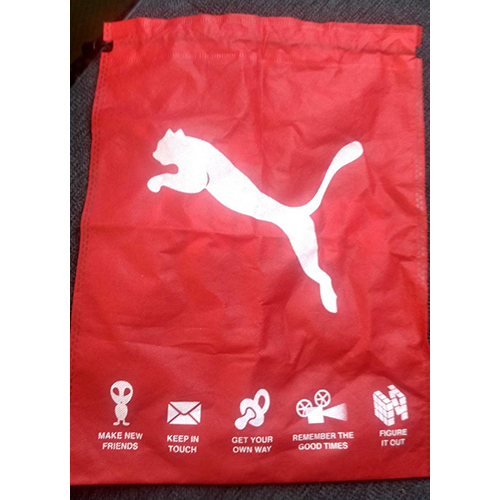 Shoe Bag