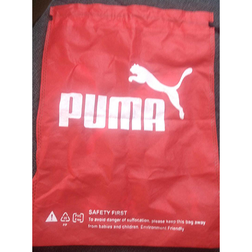 Shoe Bag