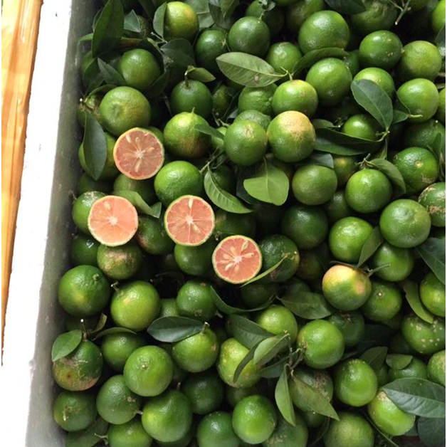 Fresh Green Lemon
