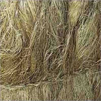 Hemp Fiber