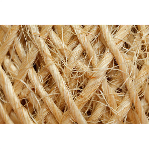 Radiation-Resistant Sisal Fiber